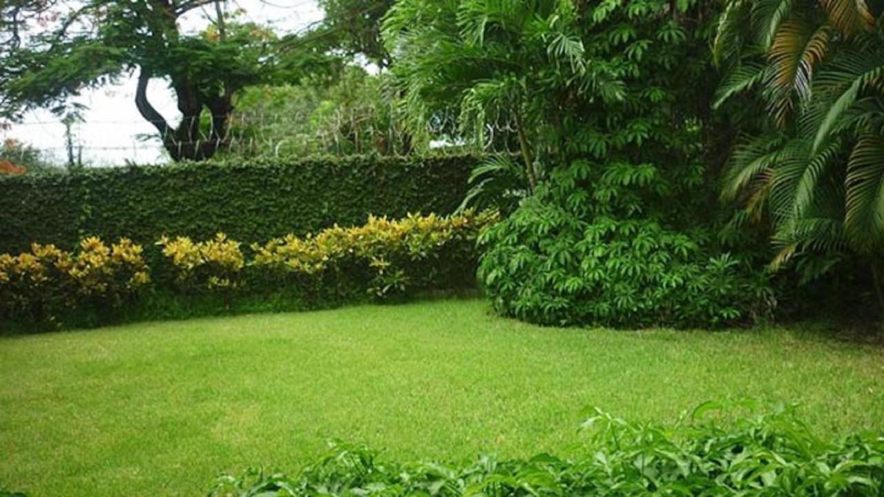 Hotel El Bramadero Либерия Экстерьер фото